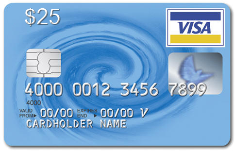 US Bank $25 Visa Virtual (BIN 454861), statement