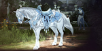 Black Desert Online 🔑 Horse Gear Set Box