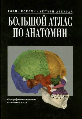 Большой атлас по анатомии + БОНУС