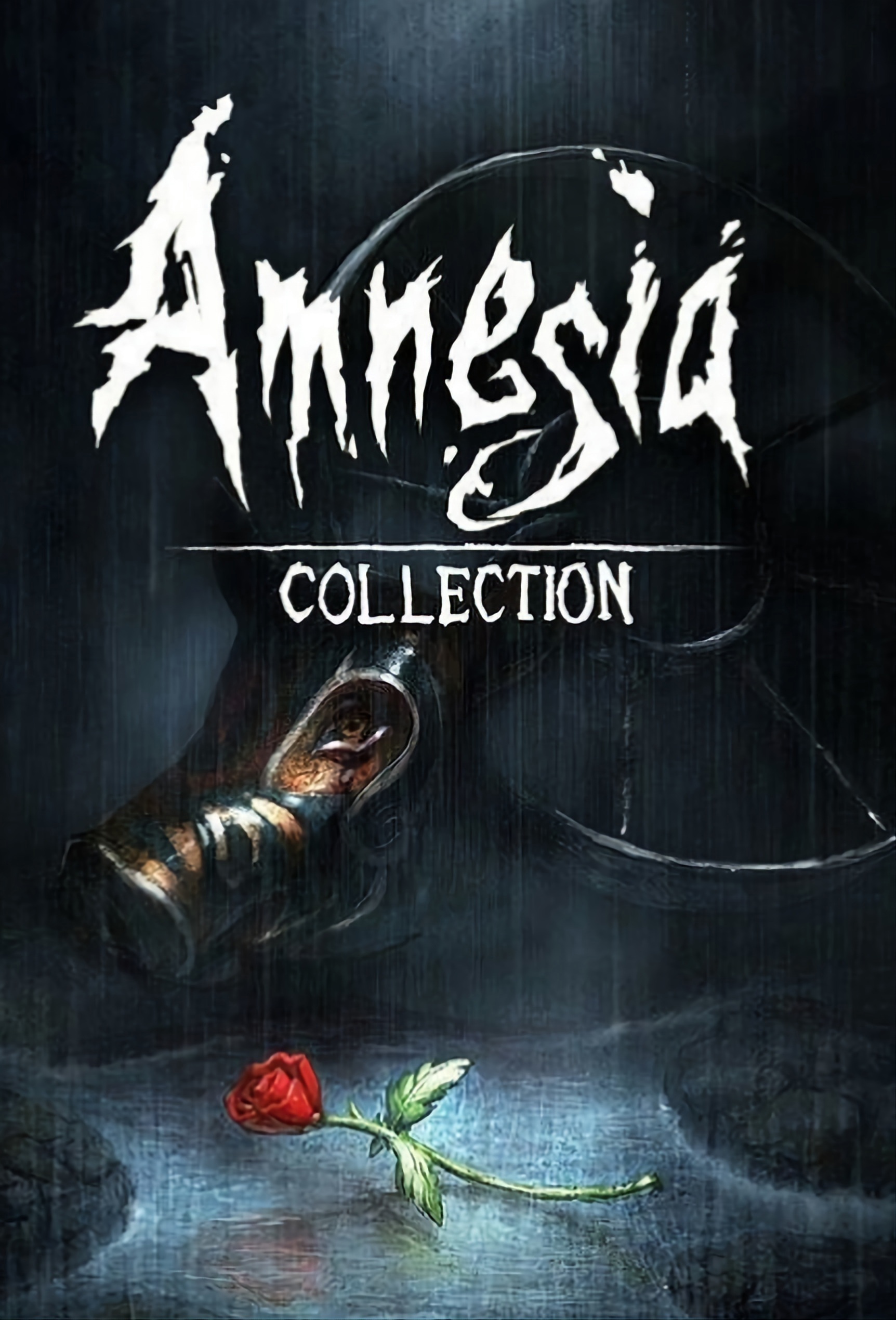 Amnesia collection steam фото 7