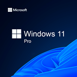 Windows 10 / 11 Professional 32/64 Bit