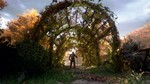 A Plague Tale Innocence XBOX Ключ
