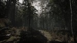 Stray Souls XBOX Ключ