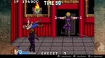 DoubleDragon Advance XBOX Ключ