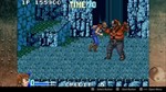 DoubleDragon Advance XBOX Ключ