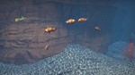 *Aquarist XBOX*