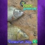**Fishing Adventure XBOX