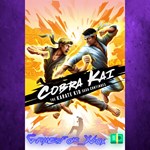 **Cobra Kai The Karate Kid Saga Continues XBOX