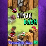 **Ninja Dash 3D XBOX