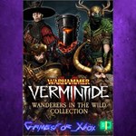 **Warhammer Vermintide 2 - Wanderers in the Wi XBOX DLC