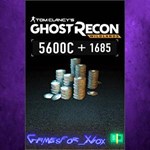 **Tom Clancy’s Ghost Recon Wildlands - Large P XBOX DLC