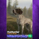 **theHunter Call of the Wild - German Shorthai XBOX DLC