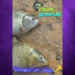 Fishing Adventure XBOX Ключ