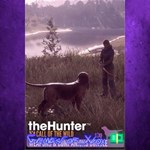 **theHunter Call of the Wild - Weapons and Com XBOX DLC